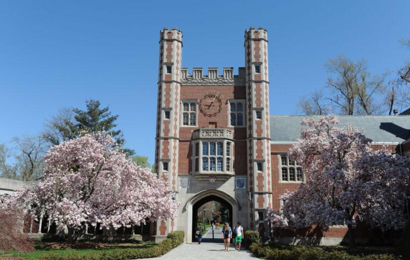 The Chapel at Trinity College with Pink Blooming Trees